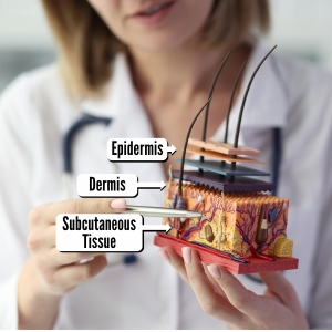 The Science of Skin and Cosmetic Chemistry